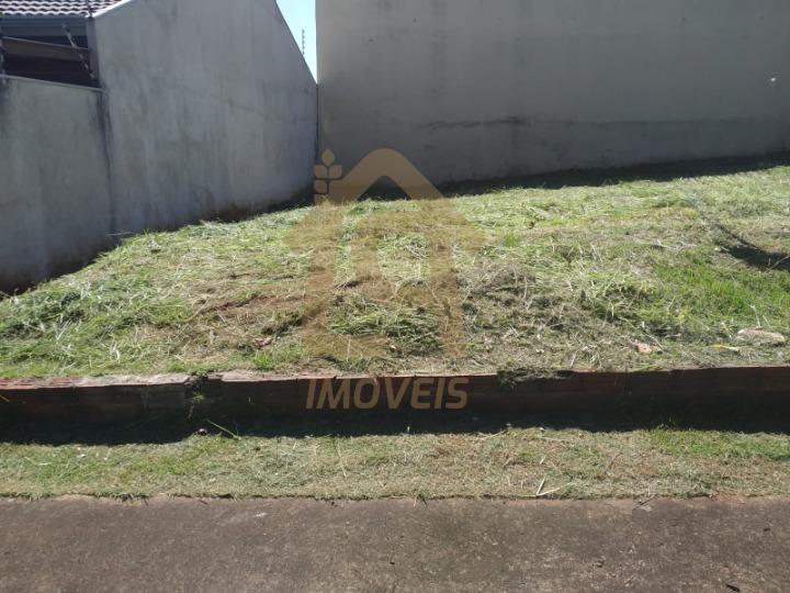 imagem-miniatura